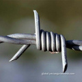 Hot-dipped Galvanized Barbed Wire Fence Barbed Wire Manufactory